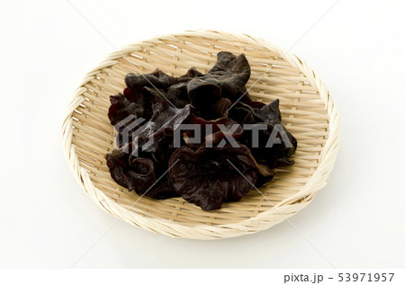 生きくらげ 53971957