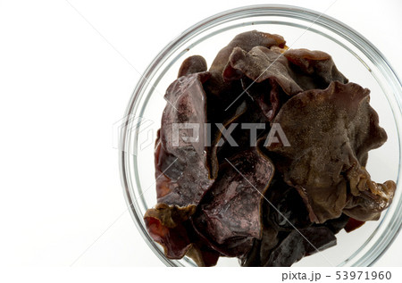 生きくらげ 53971960