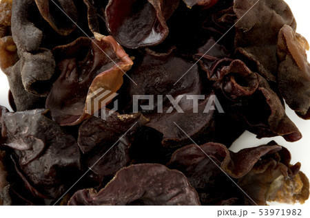 生きくらげ アップ 53971982