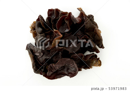 生きくらげ 53971983