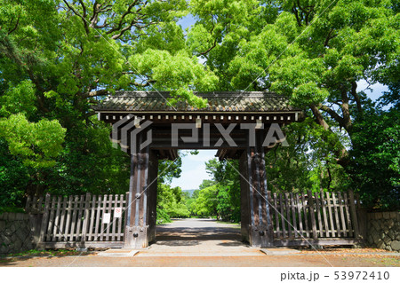 京都御苑の下立売御門(しもだちうりごもん) 新緑 京都御苑の下立売御門(しもだちうりごもん) 新緑 53972410
