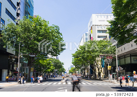 名古屋市中区 栄　都市風景　大津通　白川通大津交差点付近  南大津通歩行者天国  53972423