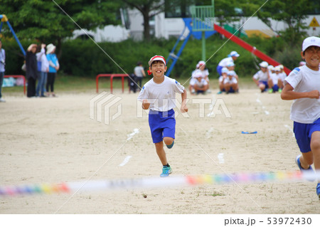小学校の運動会（100ｍ走） 53972430