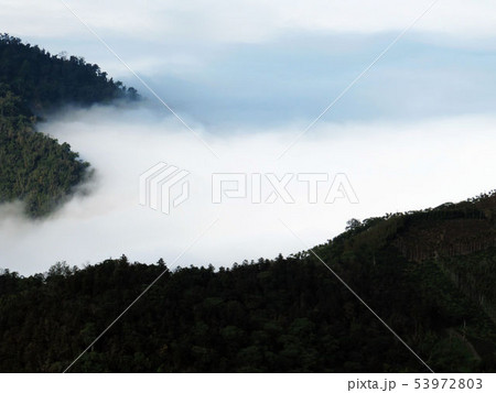 南投 阿里山 玉山 53972803