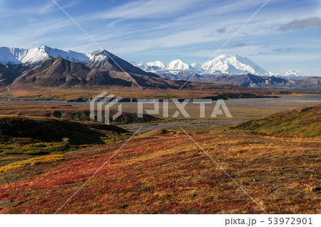 アラスカ　秋のマッキンレー地域の風景　Landscape of the fall Alaska 53972901