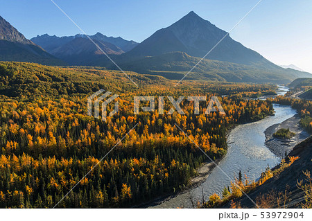 アラスカ　秋のマッキンレー地域の風景　Landscape of the fall Alaska 53972904