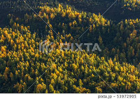 アラスカ 秋のマッキンレー地域の風景 Landscape of the fall Alaska アラスカ 秋のマッキンレー地域の風景 Landscape of the fall Alaska 53972905