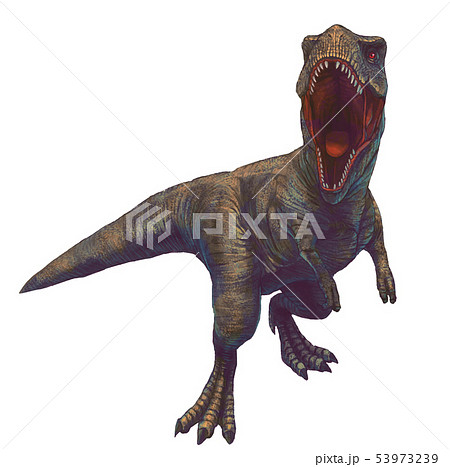 Tyrannosaurus Illustration Stock Illustration
