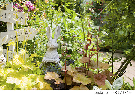 ガーデニングイメージ　園芸　庭 53973316