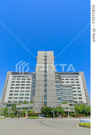 東京出入国在留管理局 東京出入国在留管理局 53973830