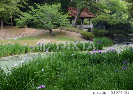名勝栗林公園の群鴨池と瞰鴨閣 53974455