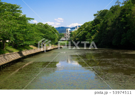 南郷公園 53974511