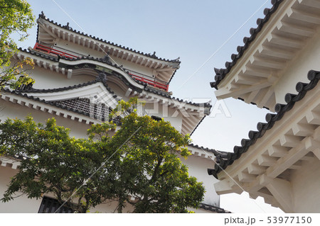 唐津城(佐賀県:唐津市) 唐津城(佐賀県:唐津市) 53977150