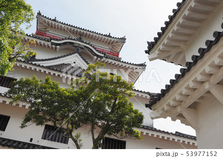 唐津城(佐賀県:唐津市) 唐津城(佐賀県:唐津市) 53977152