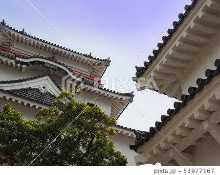 唐津城(佐賀県:唐津市) 唐津城(佐賀県:唐津市) 53977167