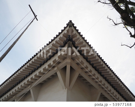 唐津城(佐賀県:唐津市) 53977168