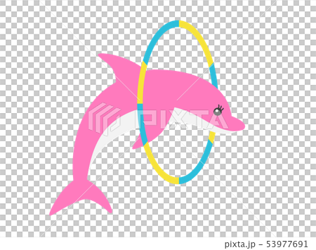 海豚 海豚 53977691