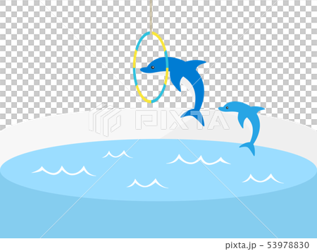 Dolphin Dolphin 53978830