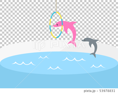 Dolphin Dolphin 53978831