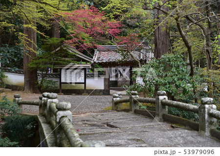 【中国三十三観音霊場】特別霊場 誕生寺の境内に架かる無垢橋 岡山県久米郡久米南町 【中国三十三観音霊場】特別霊場 誕生寺の境内に架かる無垢橋 岡山県久米郡久米南町 53979096