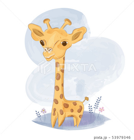 Cute baby giraffe on  the meadow 53979346
