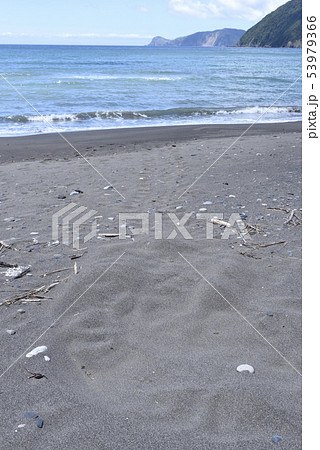 奄美大島のアカウミガメ上陸跡 奄美大島のアカウミガメ上陸跡 53979366