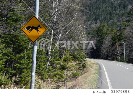 動物注意標識 53979398