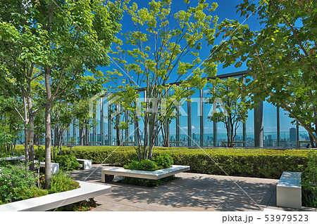 【ビジネス街の庭園】 大阪府大阪市阿倍野区阿倍野筋 【ビジネス街の庭園】 大阪府大阪市阿倍野区阿倍野筋 53979523