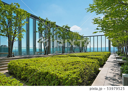 【ビジネス街の庭園】 大阪府大阪市阿倍野区阿倍野筋 【ビジネス街の庭園】 大阪府大阪市阿倍野区阿倍野筋 53979525