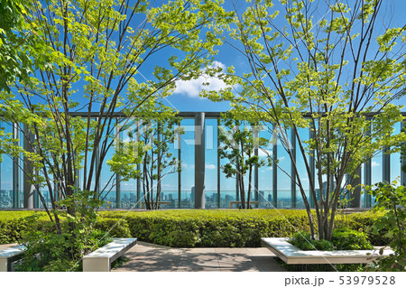 【ビジネス街の庭園】 大阪府大阪市阿倍野区阿倍野筋 【ビジネス街の庭園】 大阪府大阪市阿倍野区阿倍野筋 53979528