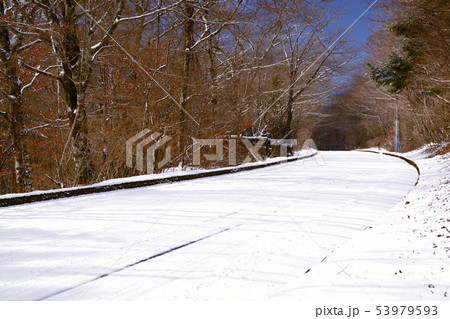 雪道 雪道 53979593
