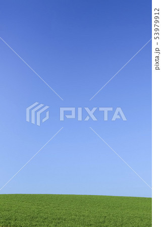草原と青空 シンプル背景 草原と青空 シンプル背景 53979912