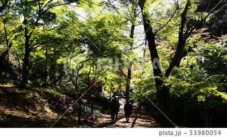 水沢もみじ谷 水沢もみじ谷 53980054