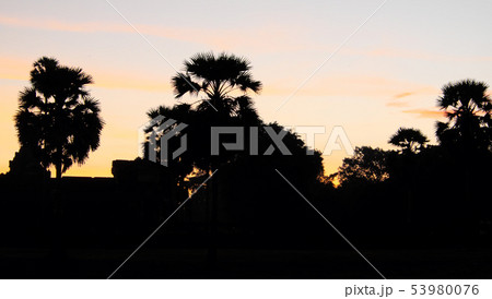 The sky is painted in the colors of the rising sun 53980076