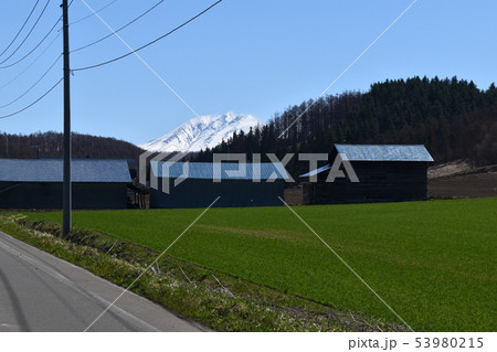 美瑛の風景 53980215