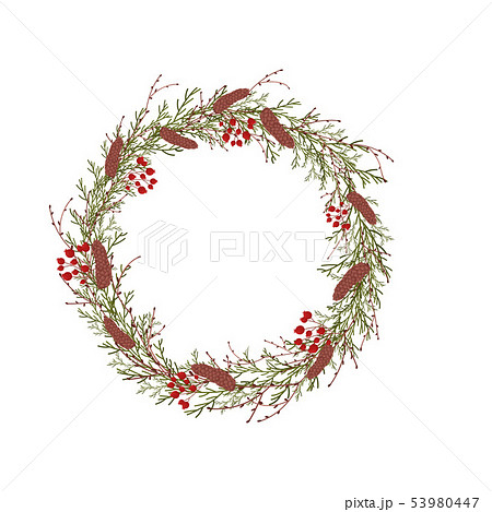 Wreath of thin branches of thuja. Vector illustration on white background. 53980447