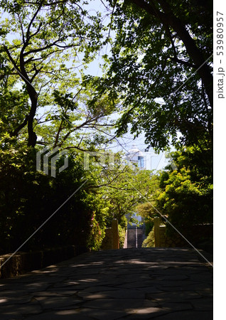 姫島の風景　大分県 53980957