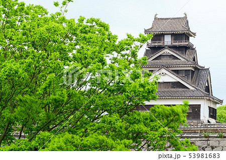 新緑の熊本城宇土櫓 新緑の熊本城宇土櫓 53981683