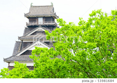 新緑の熊本城宇土櫓 53981684