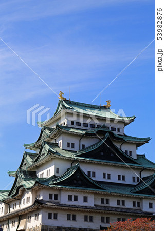 晩秋の名古屋城 53982876