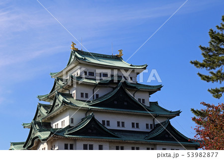 晩秋の名古屋城 晩秋の名古屋城 53982877