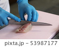 刺身調理 53987177