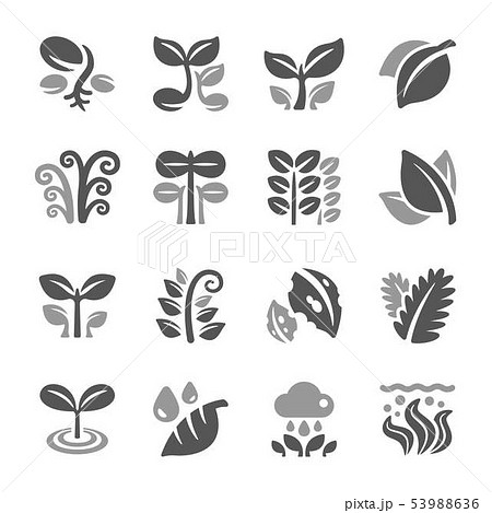 plant and leaf icon set plant and leaf icon set 53988636