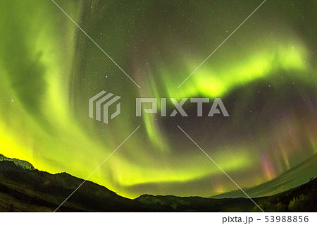 アラスカのオーロラ　aurora generated near Alaska Fairbanks 53988856