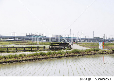 蓮田市貝塚の田園風景 53989254