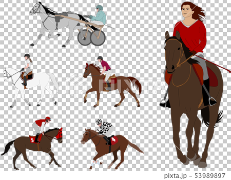 equestrian sports. harness racing, horse 53989897