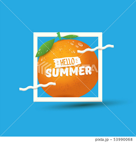 Vector Hello Summer label or flyer Design template with fresh orange fruit isolated on blue 53990068