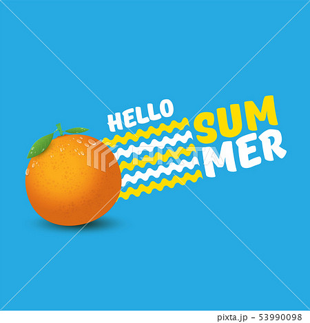 Vector Hello Summer label or flyer Design template with fresh orange fruit isolated on blue Vector Hello Summer label or flyer Design template with fresh orange fruit isolated on blue 53990098