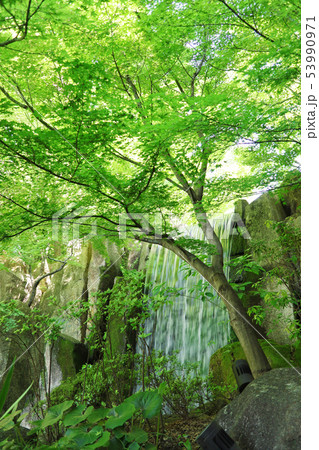 愛知県　名古屋市　徳川園 53990971