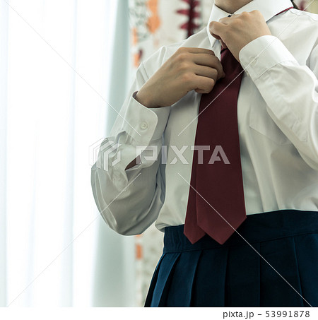 イメージフォト イメージフォト 53991878